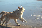foto32/