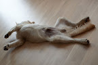 foto50/