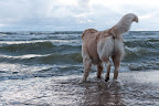 foto33/