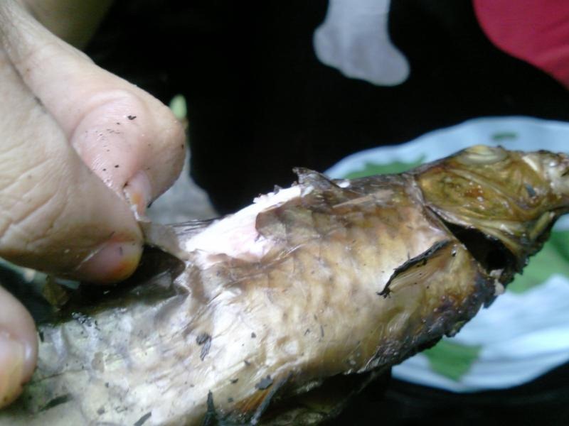 [20100418144402[3].jpg]