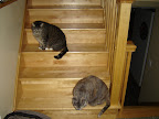 DSC03378.JPG