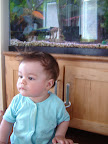 Il faisait chaud dehors, je vais faire un saut dans l'aquarium / It was hot outside, I'm going for a dip in the fishtank