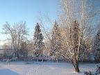 DSC03574.JPG