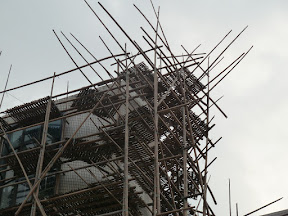 P1000100.JPG