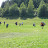 P7020340.JPG