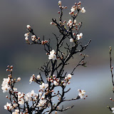 IMG_1783.jpg