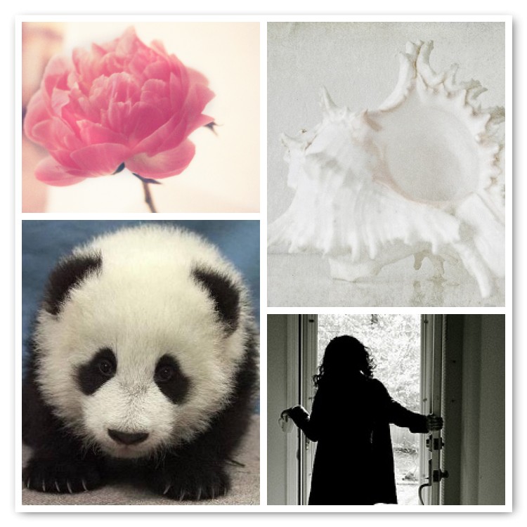 mosaic9c0e02f4d806ace00d8ba8b01c246e6575cc2903 {i heart blah blah blahg}