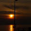 DSC_0559.JPG