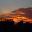 DSC_0194.JPG