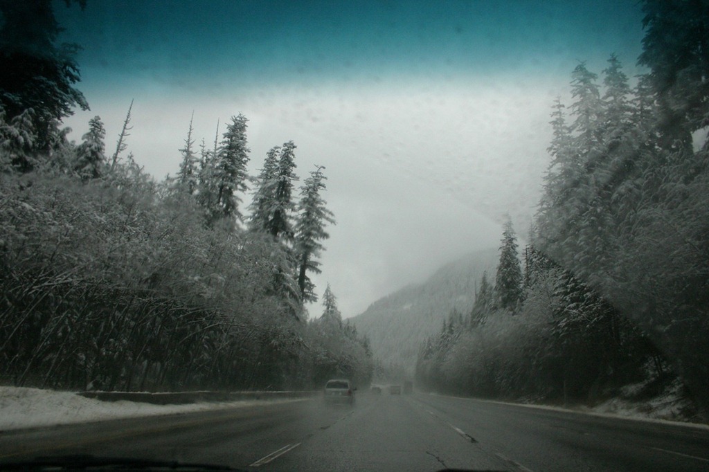[SeattleToAtlanta-19-Nov-2010-01911.jpg]