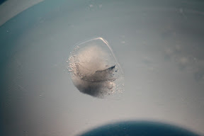  &ndash; 13-Feb-2010