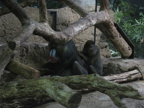  &ndash; 26-Jun-2008
