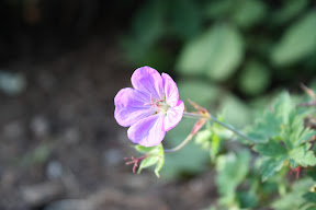  &ndash; 20-Aug-2008