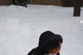  &ndash; 19-Dec-2008
