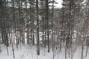  &ndash; 24-Dec-2008