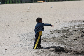  &ndash; 04-May-2009
