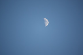  &ndash; 01-May-2009
