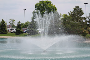 – 01-Jun-2009 – 01-Jun-2009