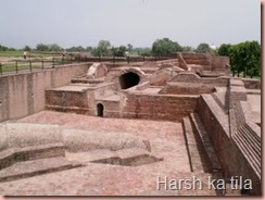 harshkatila