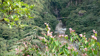 Following the Pastaza River and the active Mount Sangay