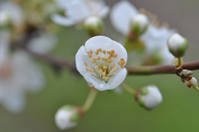 DSC_0049.jpg