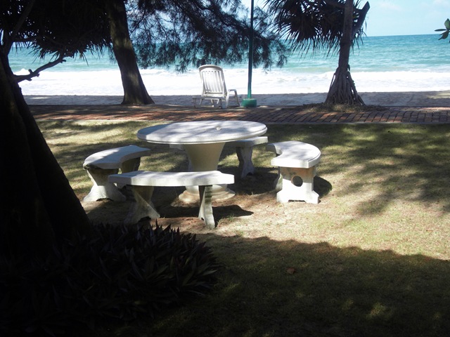 [SDC112393.jpg]