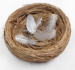 [emptynest2[3].jpg]