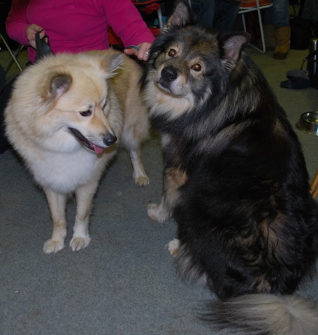 [DSC_0035[6].jpg]