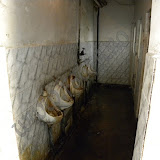 Conditii de munca. Depoul Bucuresti Calatori ConditiiDeMuncaInDepoulBucurestiCalatori Conditii de munca. Depoul Bucuresti Calatori