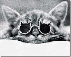 cat_with_glasses cat_with_glasses