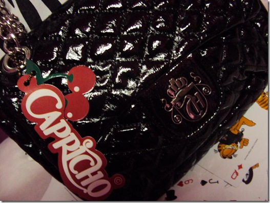 bolsa toda mulher 1