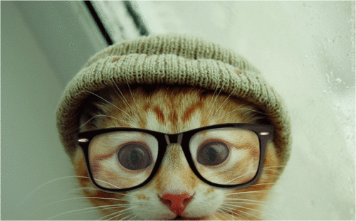 [tumblr_llh40a5dVa1qjdltho1_500_large[7].gif]