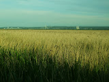 DSCF0232.JPG