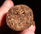 DSC05165.JPG