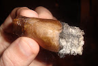DSC05720.JPG