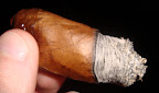 DSC05824.JPG