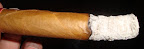 DSC05889.JPG