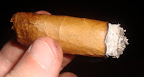 DSC05895.JPG