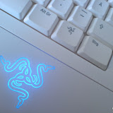 Protype Protype