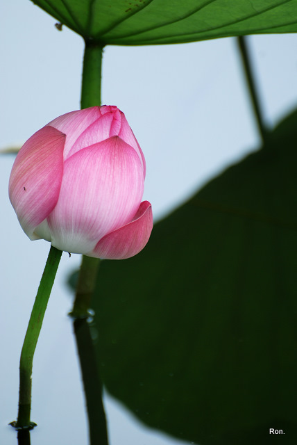 DSC_1280.jpg