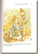 peter rabbit_5 peter rabbit_5
