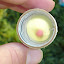 No name