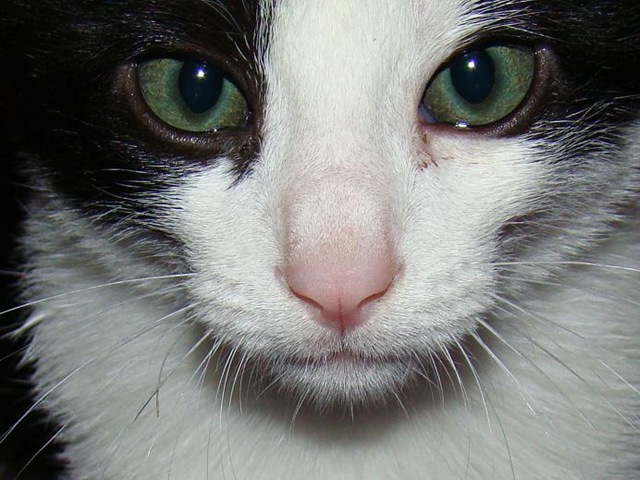 [Nico[3].jpg]