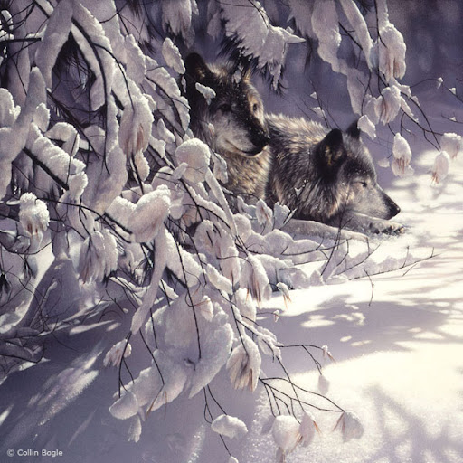 40 Beautiful Wildlife Paintings by Collin Bogle 