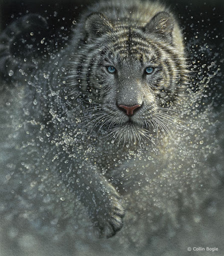 40 

Beautiful Wildlife Paintings by Collin Bogle 