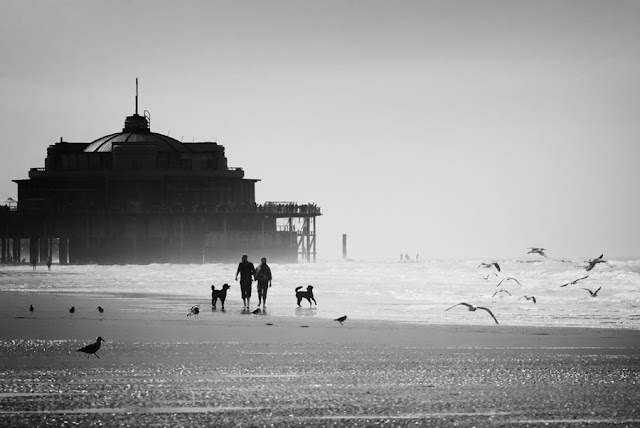 Spectacular Photography by Piet Flour