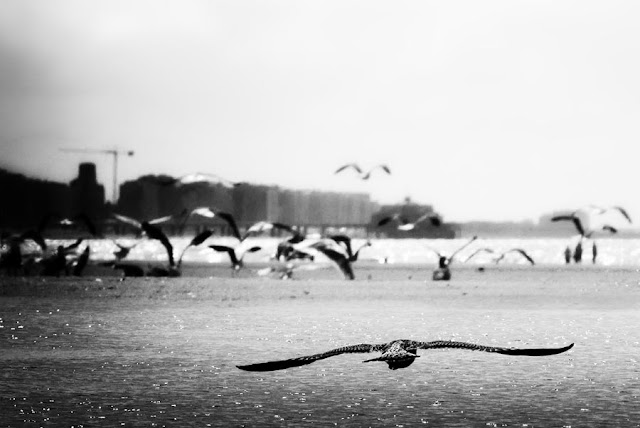 Spectacular Photography by Piet Flour