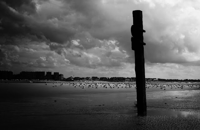Spectacular Photography by Piet Flour