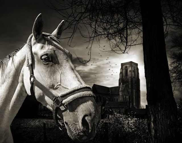 Spectacular Photography by Piet Flour