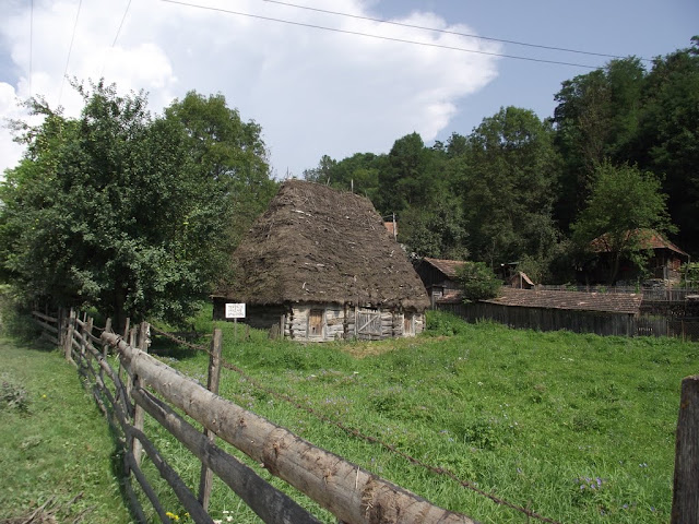 Kép